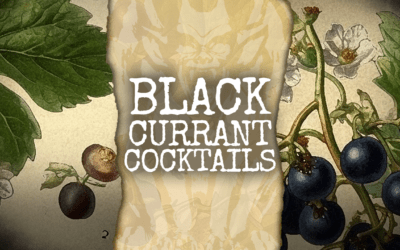 Black Currant Cocktails