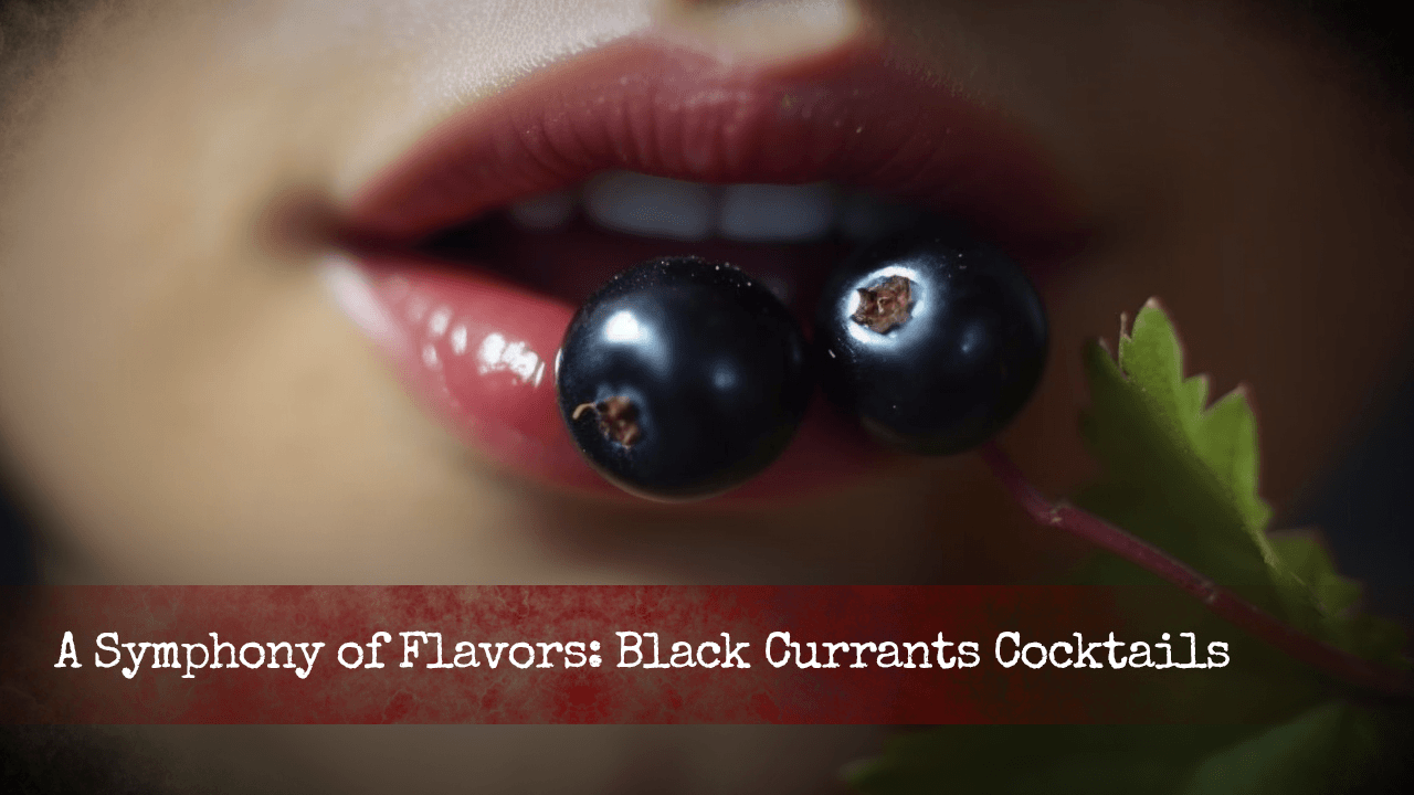 Black Currant Cocktail Recipes