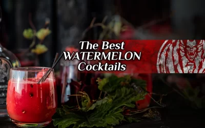 Best Watermelon Cocktails